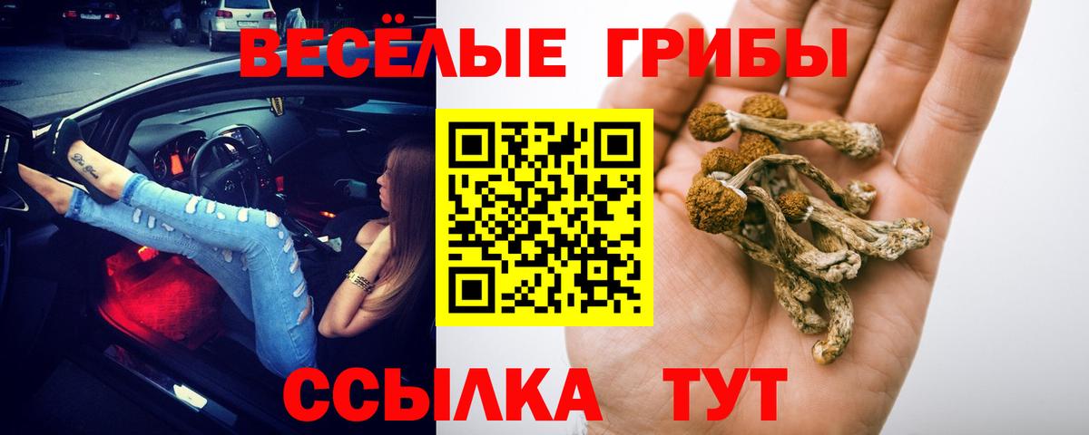 Кемерово  Псилоцибиновые грибы Magic Shrooms  Вход с VPN 
