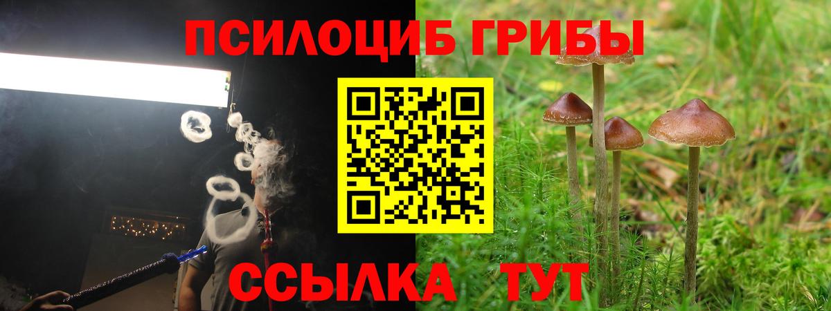 Псилоцибиновые грибы Magic Shrooms Кемерово